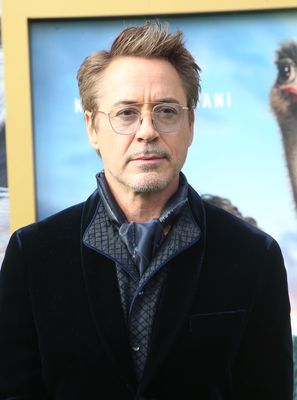 Robert Downey Jr Poster 3949328