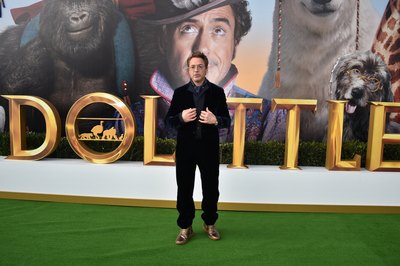 Robert Downey Jr Poster 3949329