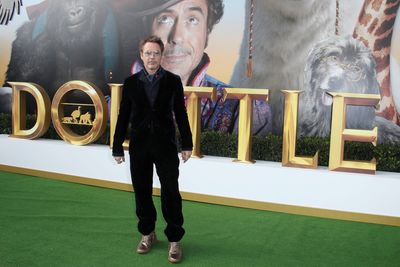 Robert Downey Jr Poster 3949332