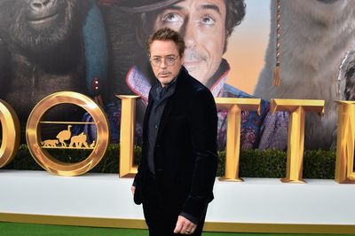 Robert Downey Jr Poster 3949333