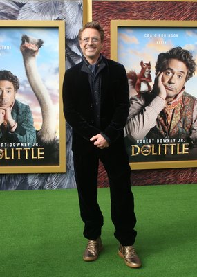 Robert Downey Jr Poster 3949334