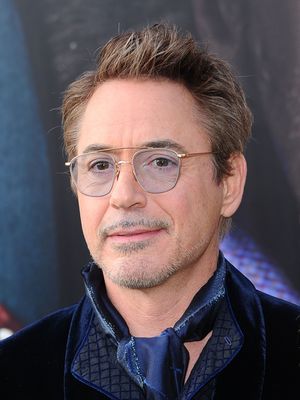 Robert Downey Jr Poster 3949335