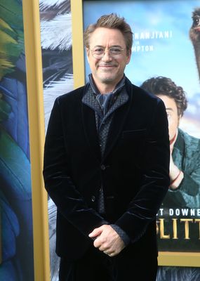 Robert Downey Jr Poster 3949337