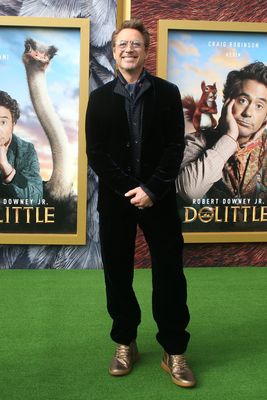 Robert Downey Jr Poster 3949341