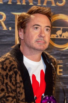 Robert Downey Jr Poster 3949343