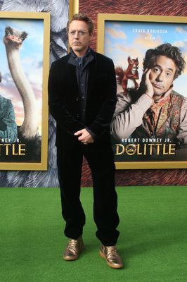 Robert Downey Jr Poster 3949352