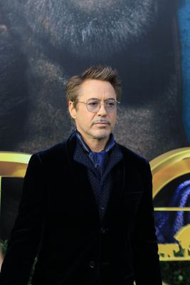 Robert Downey Jr Poster 3949353