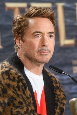 Robert Downey Jr Poster 3949355