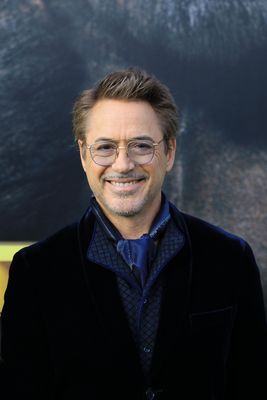 Robert Downey Jr Poster 3949357