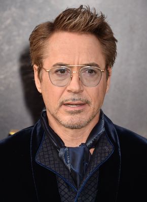 Robert Downey Jr Poster 3949358
