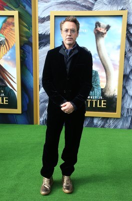 Robert Downey Jr Poster 3949359