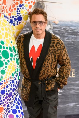 Robert Downey Jr Poster 3949360
