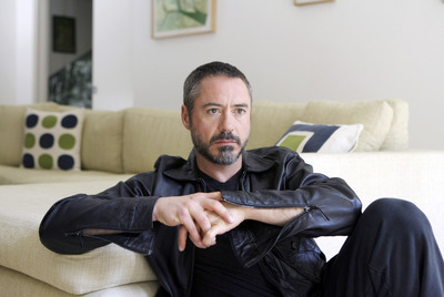 Robert Downey Poster 1971891