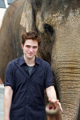 Robert Pattinson Poster 2244484