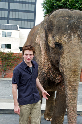 Robert Pattinson Poster 2244496