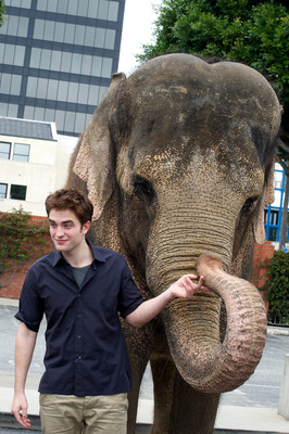 Robert Pattinson Poster 2244499