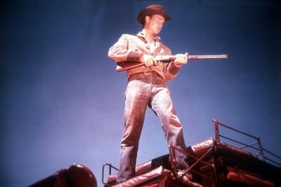 Robert Wagner Poster 2606991