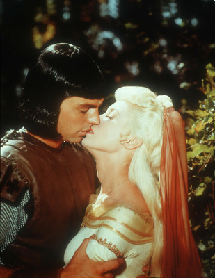 Robert Wagner Poster 2607020