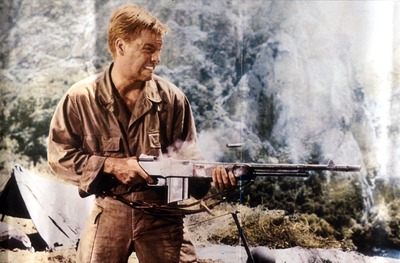 Robert Wagner Poster 2607025