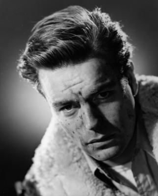 Robert Wagner Poster 2607050