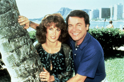 Robert Wagner Poster 2607076