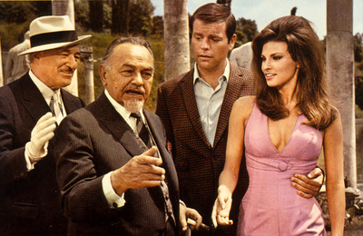 Robert Wagner Poster 2607094