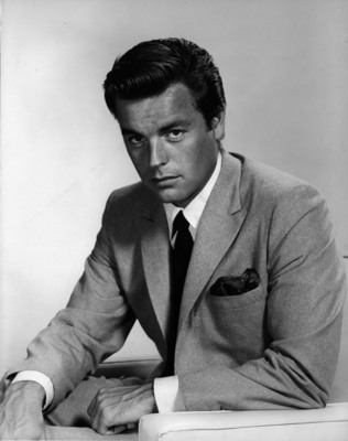 Robert Wagner Poster 2607176
