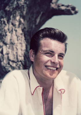 Robert Wagner Poster 2607190