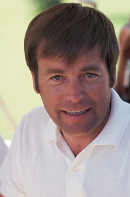 Robert Wagner Poster 2607236