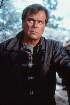 Robert Wagner Poster 2607243
