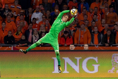 Robin Olsen Poster 3353873
