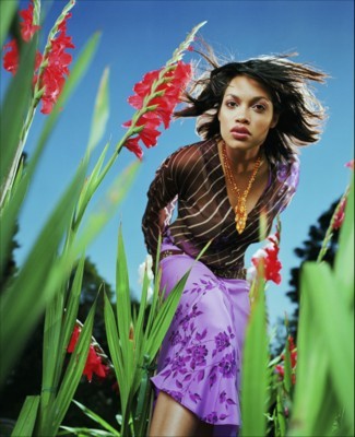 Rosario Dawson Poster 1348690
