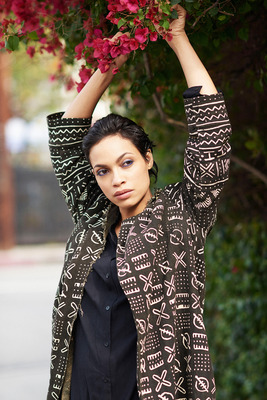 Rosario Dawson Poster 2480024