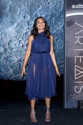 Rosario Dawson Poster 3107622