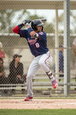 Royce Lewis Poster 3481083