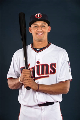 Royce Lewis Poster 3481085