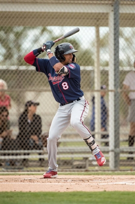Royce Lewis Poster 3481090