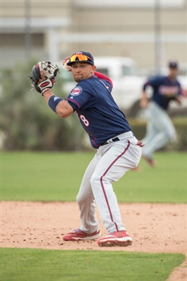 Royce Lewis Poster 3481101