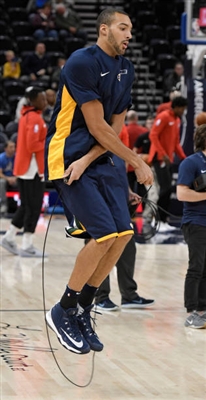 Rudy Gobert Poster 3397996