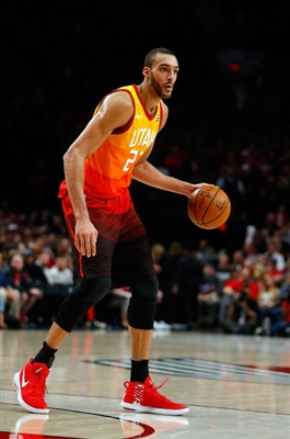 Rudy Gobert Poster 3398026