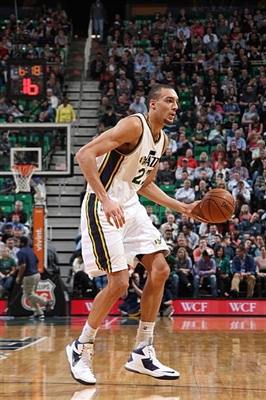 Rudy Gobert Poster 3398038