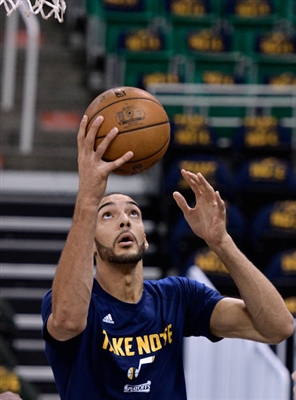Rudy Gobert Poster 3398067