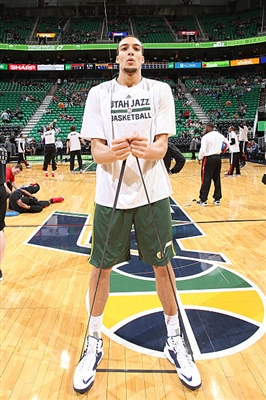 Rudy Gobert Poster 3398069