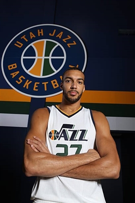 Rudy Gobert Poster 3398089