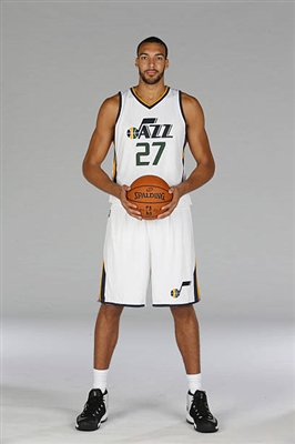 Rudy Gobert Poster 3398105