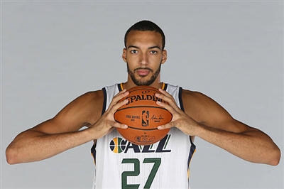 Rudy Gobert Poster 3398149