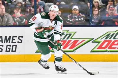 Ryan Suter Poster 3564644