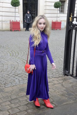 Sabrina Carpenter Poster 3152040