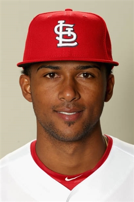 Sandy Alcantara Poster 3482025