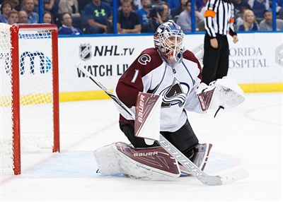 Semyon Varlamov Poster 3557668